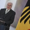 Steinmeier: Bizi Alman yapan, damarlarımızdaki kan değil