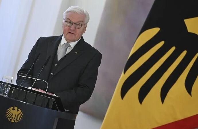 Steinmeier: Bizi Alman yapan, damarlarımızdaki kan değil