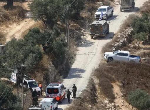 Yahudi işgalciler bir İngiliz aktivisti zorla alıkoydu