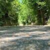 Önce Yol mu Yoksa Refik mi?