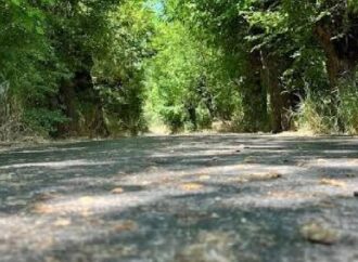 Önce Yol mu Yoksa Refik mi?