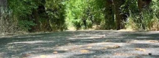 Önce Yol mu Yoksa Refik mi?