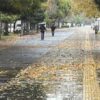 Güncel